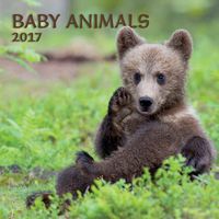 Turner Photo 2017 Baby Animals Photo Wall Calendar, 12 x 24 inches Opened (17998940006)