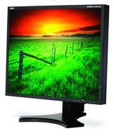 Nec LCD1990SX-BK 19-Inch 1500:1 LCD with DVI (Black)
