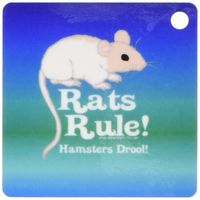 3dRose Rats Rule! White on BlueGreen - Key Chains, 2.25 x 4.5 inches, set of 2 (kc_12397_1)
