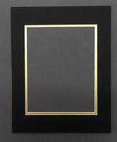 Pack of 5 11x14 Black & Gold Double Picture Mats Mattes Matting Cut for 8x10 Pictures