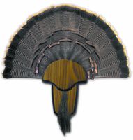 Hunters Specialties H.S. Strut Turkey Tail & Beard Mounting Kit