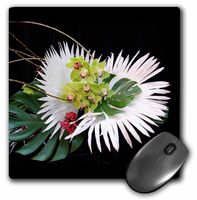 3dRose LLC 8 x 8 x 0.25 Inches Exotic Flowers Mouse Pad (mp_4928_1)