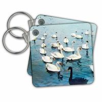 3D Rose Key Chains, Set of 2 (kc_246850_1)