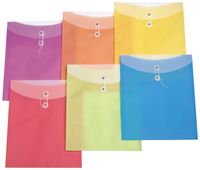 Filexec Poly Envelope, Letter Size,Assorted (Pack of 6) (50060-1492)