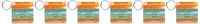 3dRose Footprints In The Sand - Key Chains, 2.25 x 4.5 inches, set of 6 (kc_63084_3)