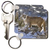 3dRose Puma, Yellowstone NP, Montana - US27 JMC0005 - Joe and Mary Ann McDonald - Key Chains, 2.25 x 4.5 inches, set of 2 (kc_92057_1)