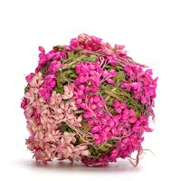 Byher Natural Preserved Moss Hanging Ball Vase Bowl Filler for Garden, Wedding, Party Decoration (2" (12 Pack), Pink)