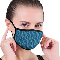 Ghhpws Horizontal Zigzags Women & Men Reusable Earloop Half Face Mouth Mask For Pollen Smog Dust