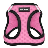 Voyager Step-In Air Dog Harness - All Weather Mesh, Step In Vest Harness for Small and Medium Dogs by Best Pet Supplies - Pink Base, Large (Chest: 18" - 21")