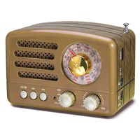 J-160 AM FM Radio Retro Bluetooth Speaker, Transistor Radio Portable Battery Operated Radio with Classical Vintage Look, Built-in USB Port, Micro-SD, AUX Input(Gold)
