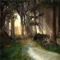 GladsBuy Peaceful Forest 10' x 10' Computer Printed Photography Backdrop Forest Theme Background DT-LP-0068