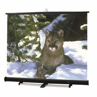 Luma 2/R Portable Projection Screen