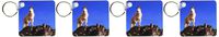 3dRose Olympic NP, Mountain Goat, Klahhane Ridge - US48 BJA0200 - Jaynes Gallery - Key Chains, 2.25 x 4.5 inches, set of 4 (kc_95148_2)