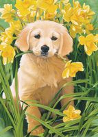 Tree Free Greetings Golden Puppy All Occasion Cards, 2 Card Set, Puppy with Flowers, Multicolored (55061)