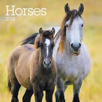 Turner Licensing Horses Office Wall Calendar (18998940025)