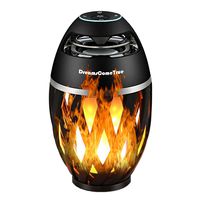 Led Flame Speaker, Flame Atmosphere Table Lamp, Music Night Light，Outdoor Portable and Waterpoof Bluetooth Stereo Speaker with HD Audio， Enhanced Bass, iPhone/iPad/Android by DreamsComeTrue