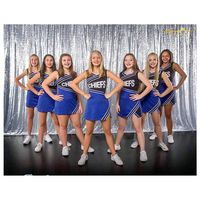 Backdrop Fabric Curtain Silver-10FTx10FT-Sequin Photo Backdrop Shimmer Curtains for Backdrop Sequin-Curtain-Backdrop~1116E