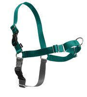 PetSafe Easy Walk Dog Harness, Teal, Medium