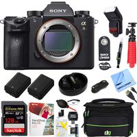 Sony Alpha a9 Mirrorless Interchangeable Lens Digital Camera Body Bundle with 128GB Memory Card, Flash, Paintshop Pro 2018, Battery, Camera Bag, Battery Charger and Accessories (8 Items)