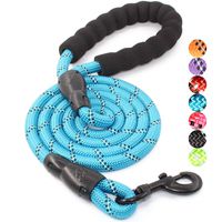 BAAPET 5 FT Strong Dog Leash with Comfortable Padded Handle and Highly Reflective Threads for Medium and Large Dogs (Blue)