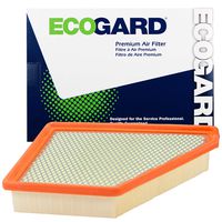 Ecogard XA6131 Premium Engine Air Filter Fits Chevrolet, Equinox 3.0L 2010-2012 | GMC 2.4L 2010-2017, Terrain 3.6L 2013-2017
