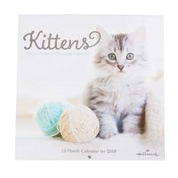2018 Hallmark Kittens Wall Calendar (12 month)