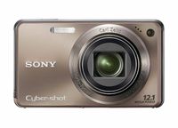 Sony Cyber-shot DSC-W290 12 MP Digital Camera with 5x Optical Zoom and Super Steady Shot Image Stabilization (Bronze)