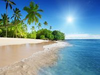 DZJYQ 6.5x5ft(2x1.5m) Tropical Summer Blue Sky White Cloud Sunshine Green Coconut Tree Forest Beach Ocean Sea Holiday Tour Birthday Party Wedding Portrait Backdrop Photography Background 227