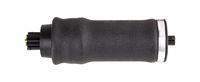 World American WA02-7093C Air Spring (SLEEVE STYLE PARTS)