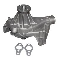 ACDelco 252-719 Professional Water Pump Kit