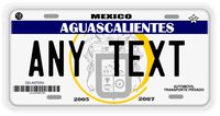 Placas Aguascalientes License Plate