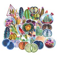 Watercolor Tiny Succulents Lithops Laptop Stickers, Waterproof Cactus Succulent Flowers Scrapbook Trendy Aesthetic Stickers for Water Bottles, Planner, Journal-28 Pieces