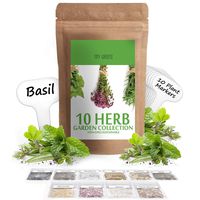 Herb Seeds Vault [10 Variety - 3000 Seeds]- Heirloom Non GMO - Herbs Seeds for Planting for Indoor and Outdoor | Herb Garden Seed Pack | Thyme, Mint, Chives, Dill, Cilantro, Parsley, Basil, Marjoram