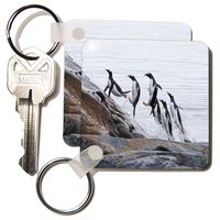3dRose Gentoo penguins swimming and jumping back to land - Key Chains, 2.25 x 4.5 inches, set of 4 (kc_10517_2)