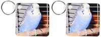 3dRose Blue Parakeet - Key Chains, 2.25 x 4.5 inches, set of 2 (kc_983_1)