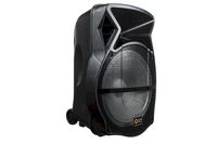 Quantum QDJ15 Portable Speaker System