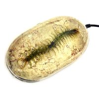 REALBUG Centipede Computer Mouse with Earth Print Background