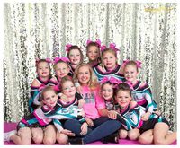 ShiDianYi Mermaid Sequin Backdrop 10FTx20FT Baby Shower Backdrop Reversable Silver Curtains -0906S