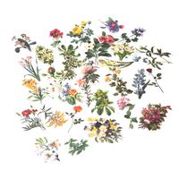 Beyong [60PCS] Cute Flowers Stickers, Watercolor Potted Plant Decals, for Phone, Pad, Laptop, Planner, Diary, Journal, Scrapbook