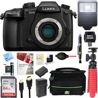 Panasonic LUMIX GH5 20.3MP 4K Mirrorless Digital Camera with WiFi Body Bundle with 64GB Memory Card, Paintshop Pro 2018 Digital Download and Accessories (10 Items)