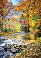 GladsBuy Mountain Stream 5' x 7' Computer Printed Photography Backdrop Autumn Theme Background XLX-094