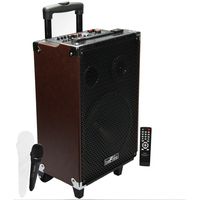 beFree Sound 10" Bluetooth Portable Speaker with USB/SD/FM Radio 500W