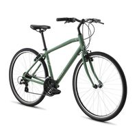 Raleigh Bikes Detour 2 LG/19