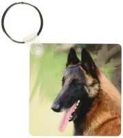 3dRose Belgian Malinois Portrait - Key Chains, 2.25 x 4.5 inches, set of 2 (kc_4388_1)