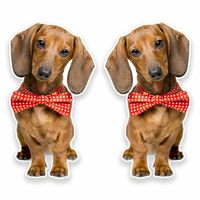 2 x 25cm/250mm Dachshund Vinyl Sticker Decal Laptop Car Travel Luggage Label Tag #9638