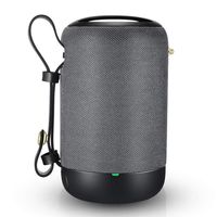 Portable Bluetooth Speaker, Louder Volume, 20W Waterproof Bluetooth 5.0 Speakers, TWS Wireless Speaker with Dual Drivers Stereo Sound, FM Radio and TF Card Slot for Travel, Outdoor...(Gray)