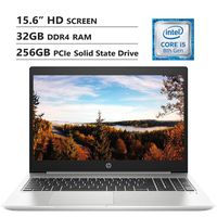 HP ProBook 450 G6 15.6" HD Screen Laptop, Intel Core i5-8265U Up to 3.9GHz, 32GB DDR4 RAM, 256GB PCIe Solid State Drive, Wireless-AC, HDMI, USB 3.0, USB Type-C, Windows 10 Pro, Silver