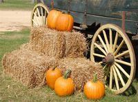 Leowefowa 9X6FT Farmland Backdrop Straw Haystack Backdrops Pumpkin Farm Cart Thankgiving Day Vinyl Photo Background Kids Adults Autumn Dinner Party Studio Props