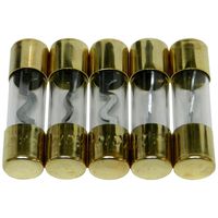 Bass Rockers 5 Gold Plated AGU Fuses 100A - AGU100A