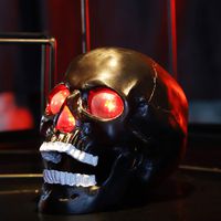 Wireless Life Size Skull Bluetooth Speaker with Led Flashing Eyes and Nose for Home Decor, Black